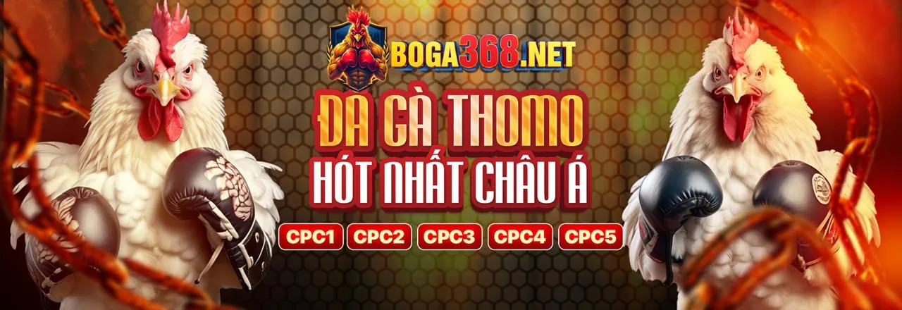 Hình ảnh đá gà trực tuyến sôi động trên ax88 ios
